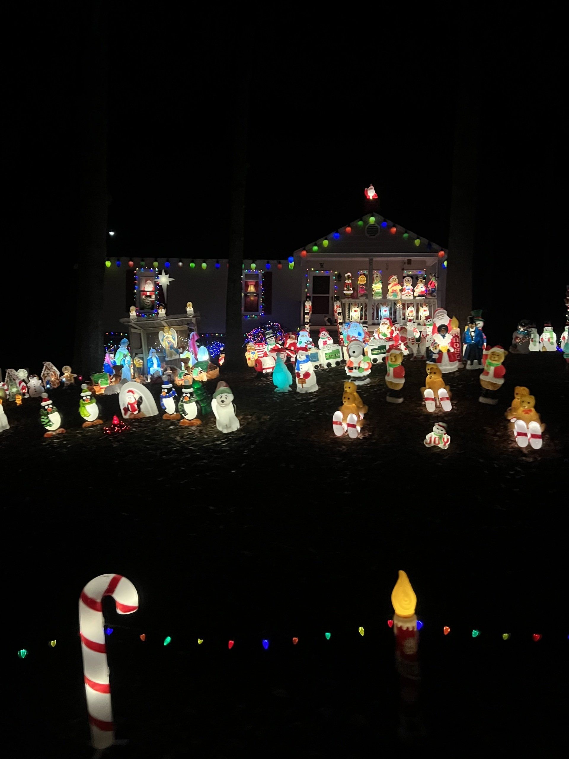 Image of holiday lights in Walton Park neighborhood of Midlothian VA.