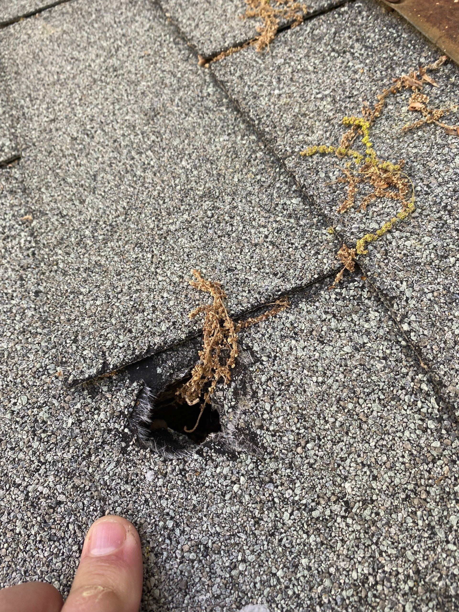 Image of hole in asphalt shingle roof, captured during RETEX roof assessment.