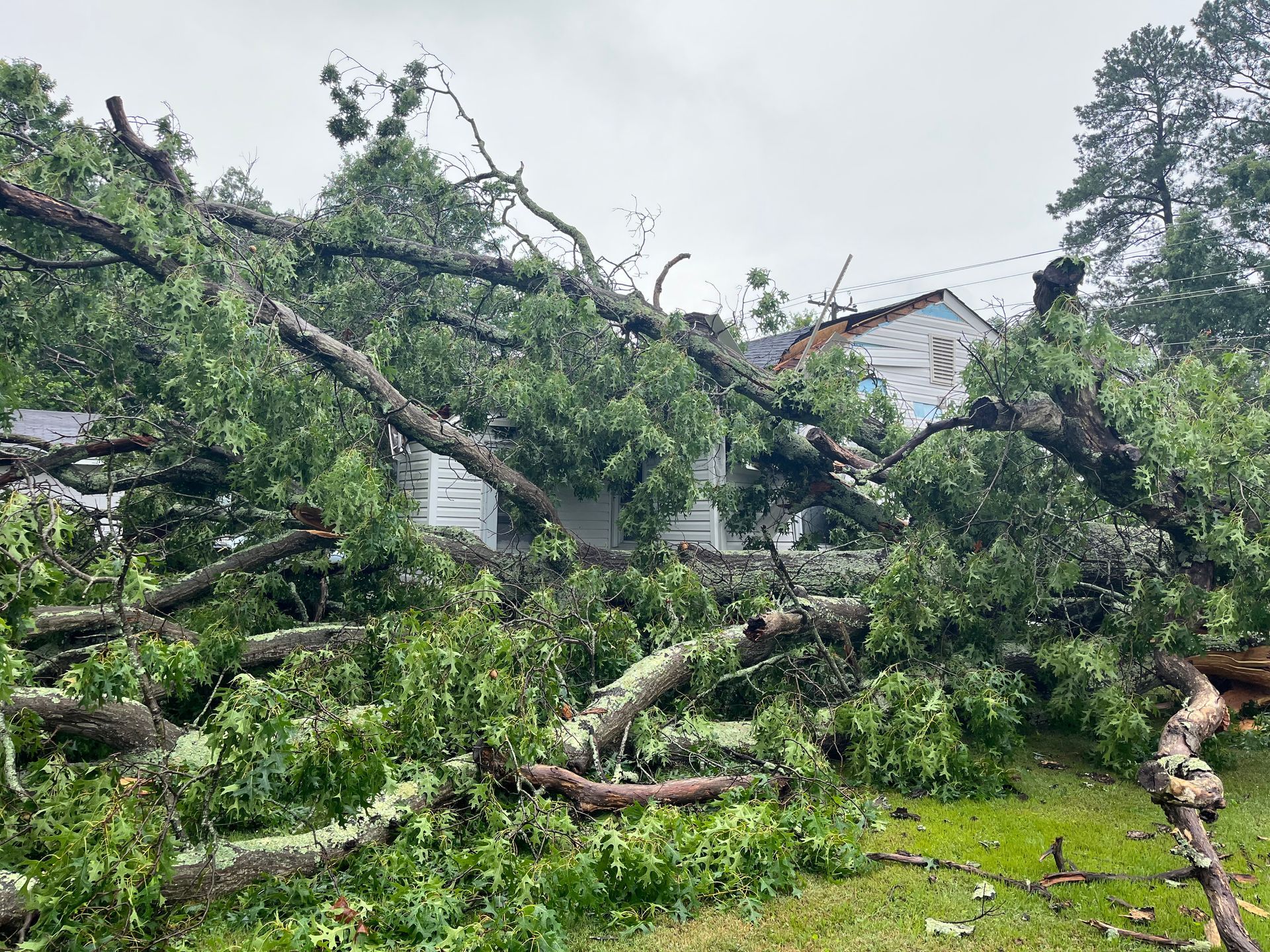 Image of tree down in Richmond VA home's yard, damaging rood and siding.
