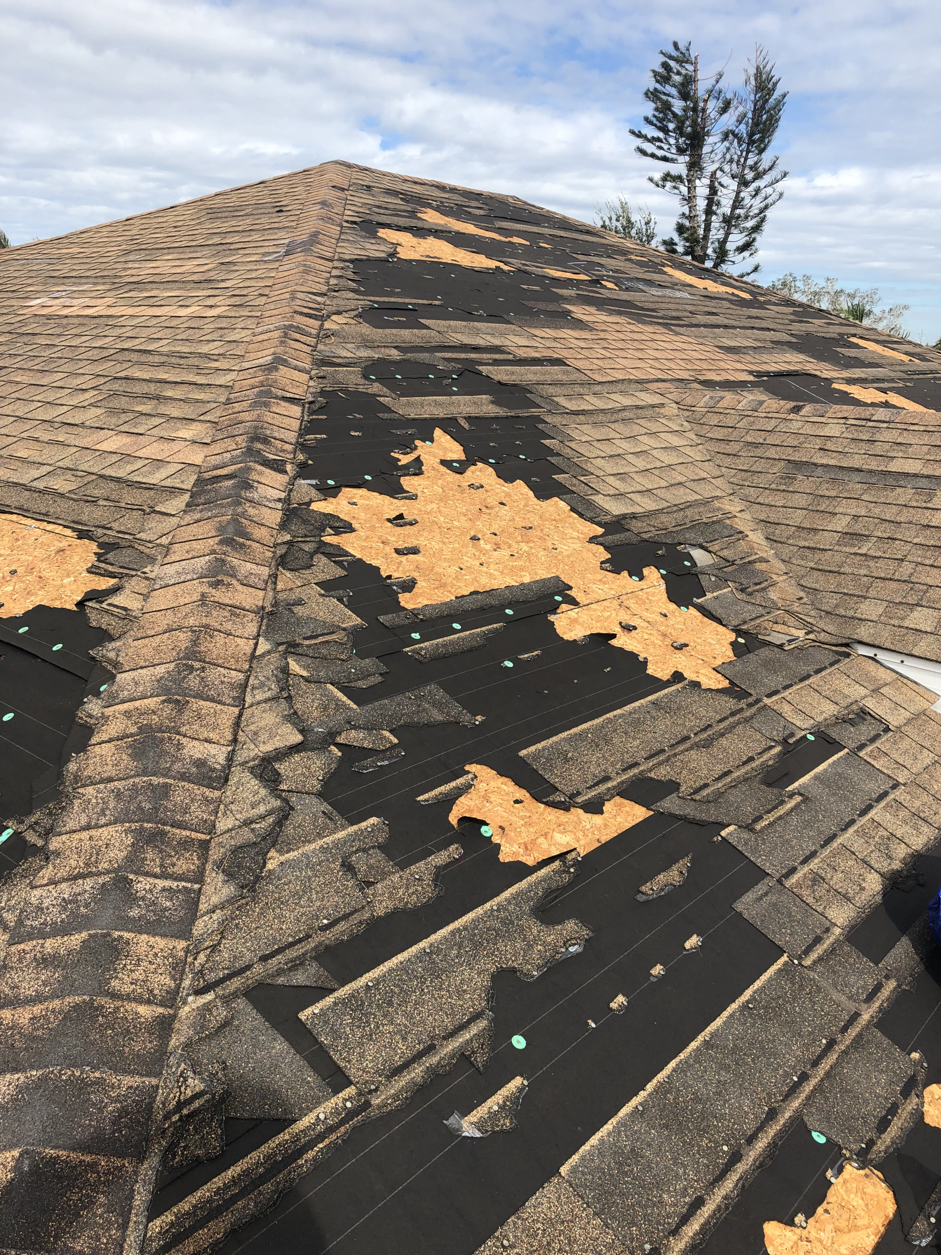 Image of hurricane damage in Port Charlotte, FL. Photo by RETEX's Josh Lewis.
