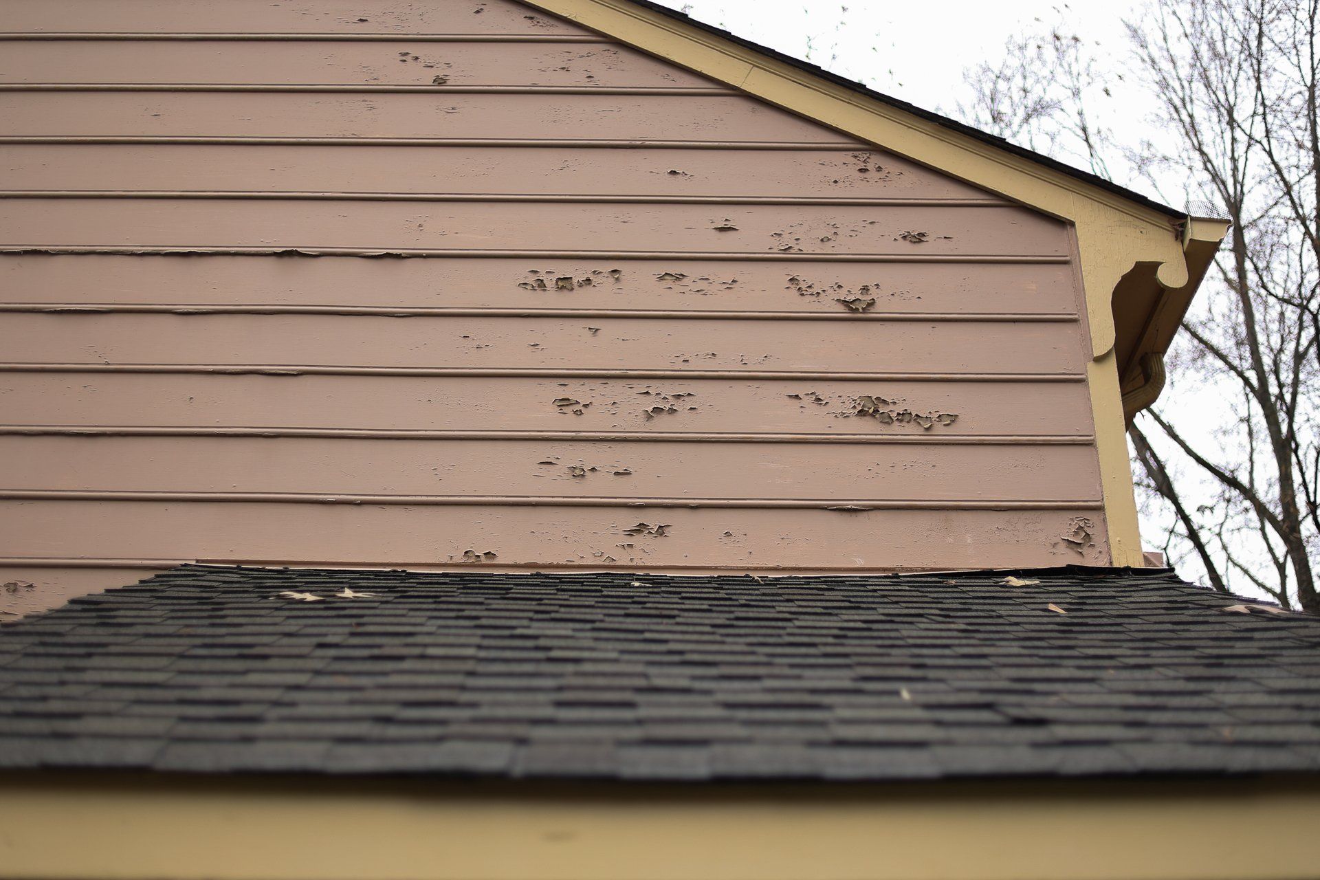 Image of damaged Masonite siding on North Chesterfield VA home. Photo by RETEX's Katelyn Lewis.