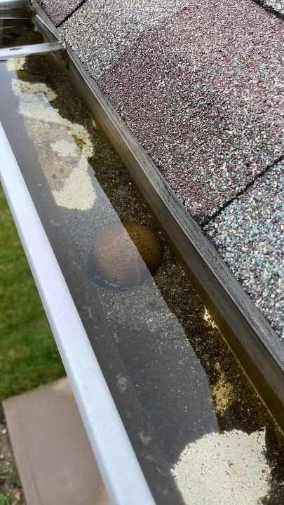 Image of a baseball lodged in a downspout, keeping the gutters from draining.