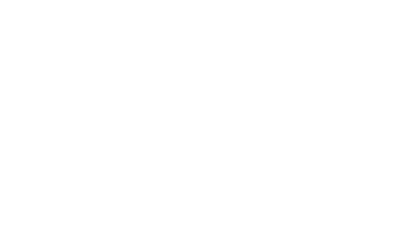 Stonebridge Footer logo, white - click to go to homepage