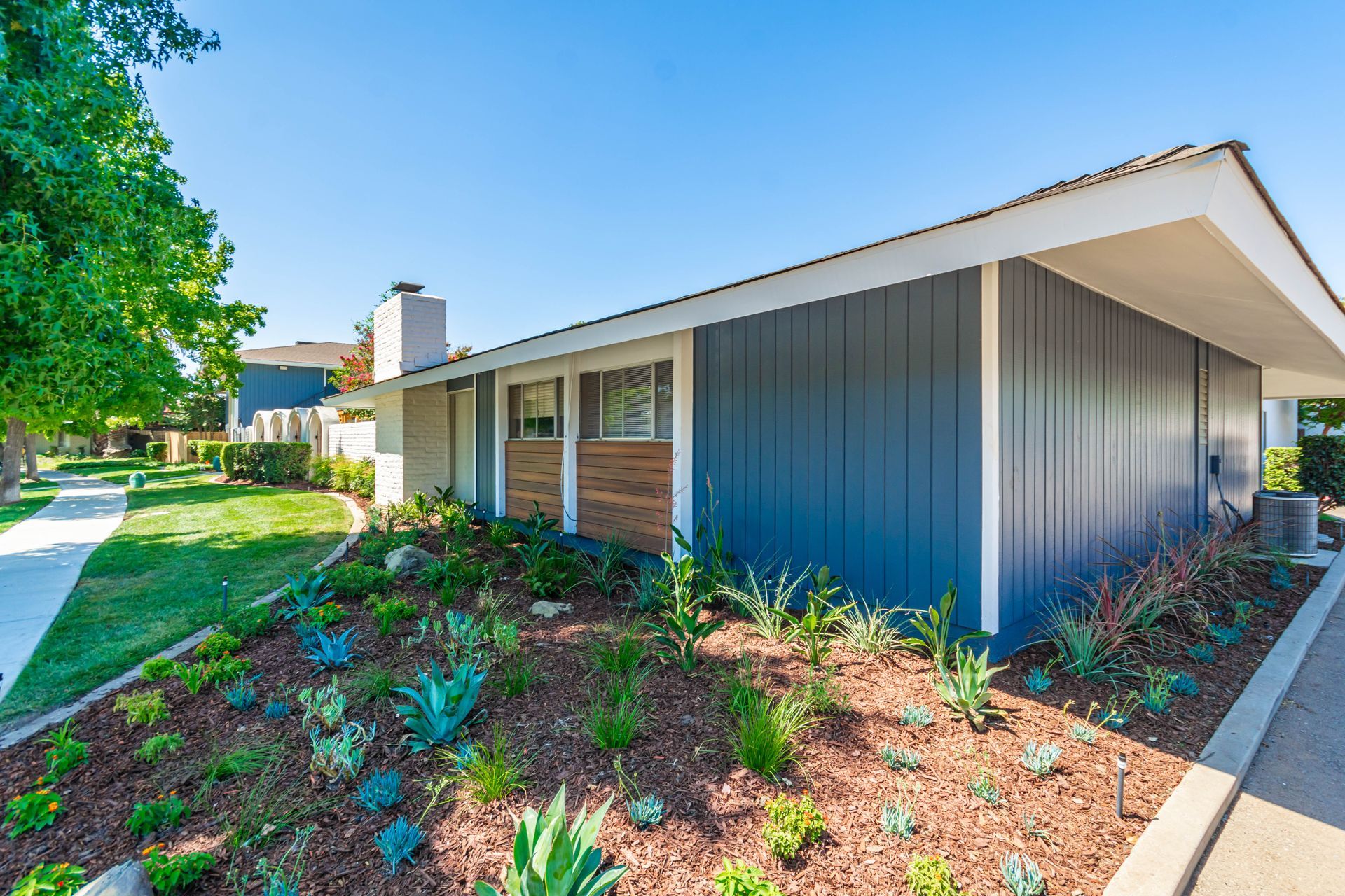 Modern single-story house with blue siding, brick accents, landscaped front yard, and walkway