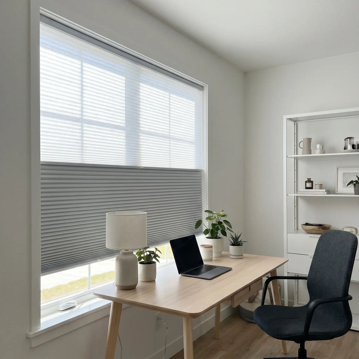 Day/
Night cellular shade in office in Lexington KY