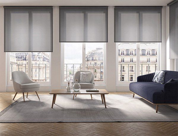 Norman® Roller Shades in Living Room