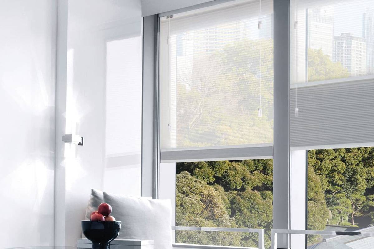 Norman® and Alta® Cellular Shades, Window Shades, Blackout Shades near Louisville, Lexington, Kentucky (KY)