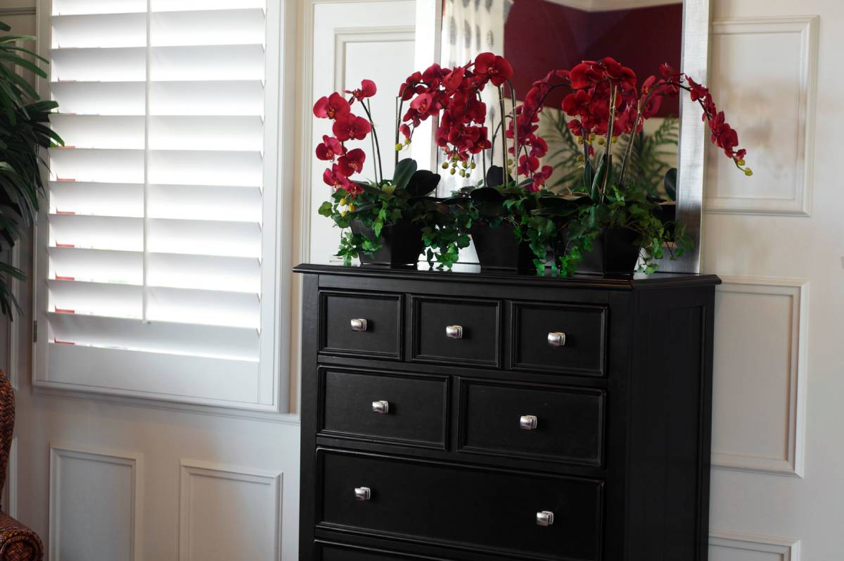 Hardwood Shutters, wooden shutters, faux wood shutters, window treatments near Lexington and Louisville, Kentucky (KY)