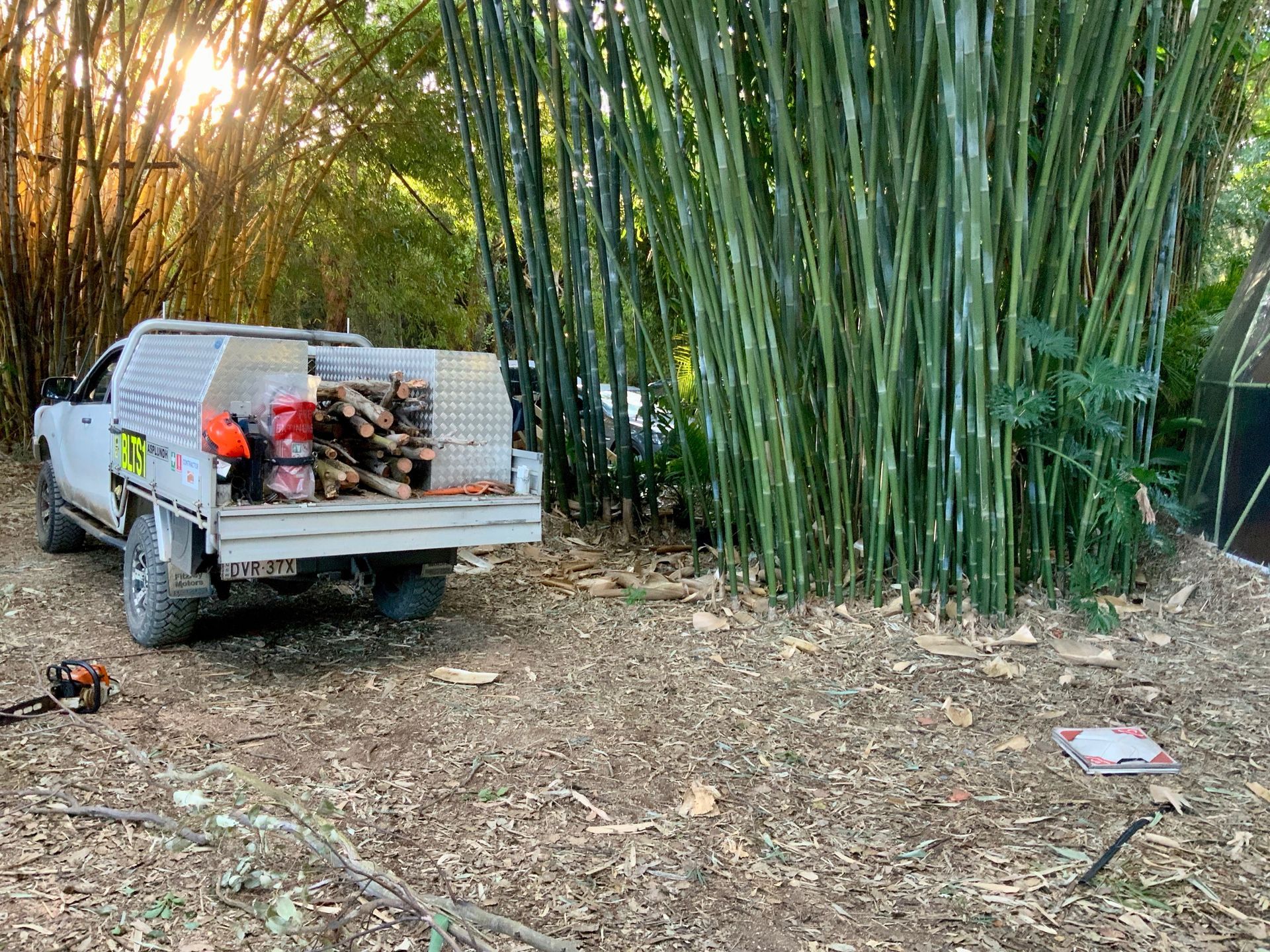 Mazda BT50