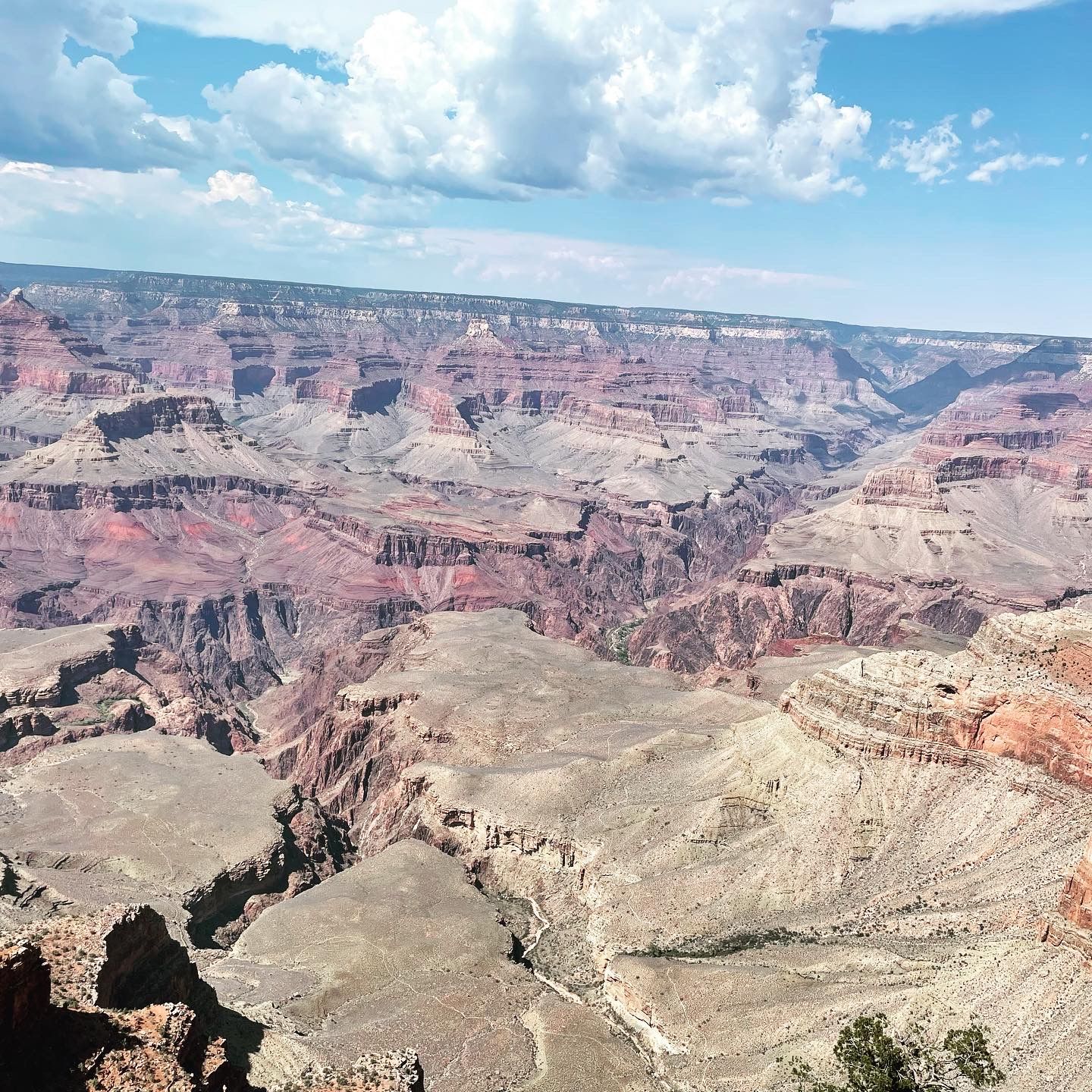 Vast canyon with layers of red, brown, and tan rock under a blue sky with fluffy white clouds.