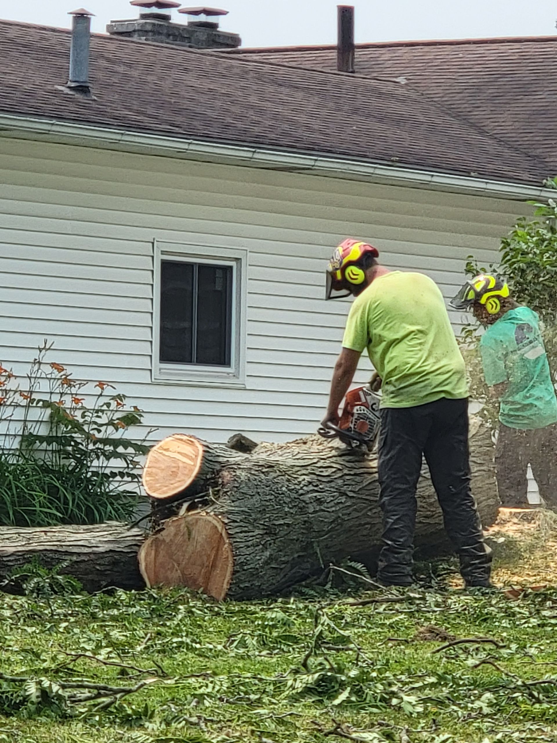 Two people in safety gear cutting a fallen tree with chainsaws near a house.