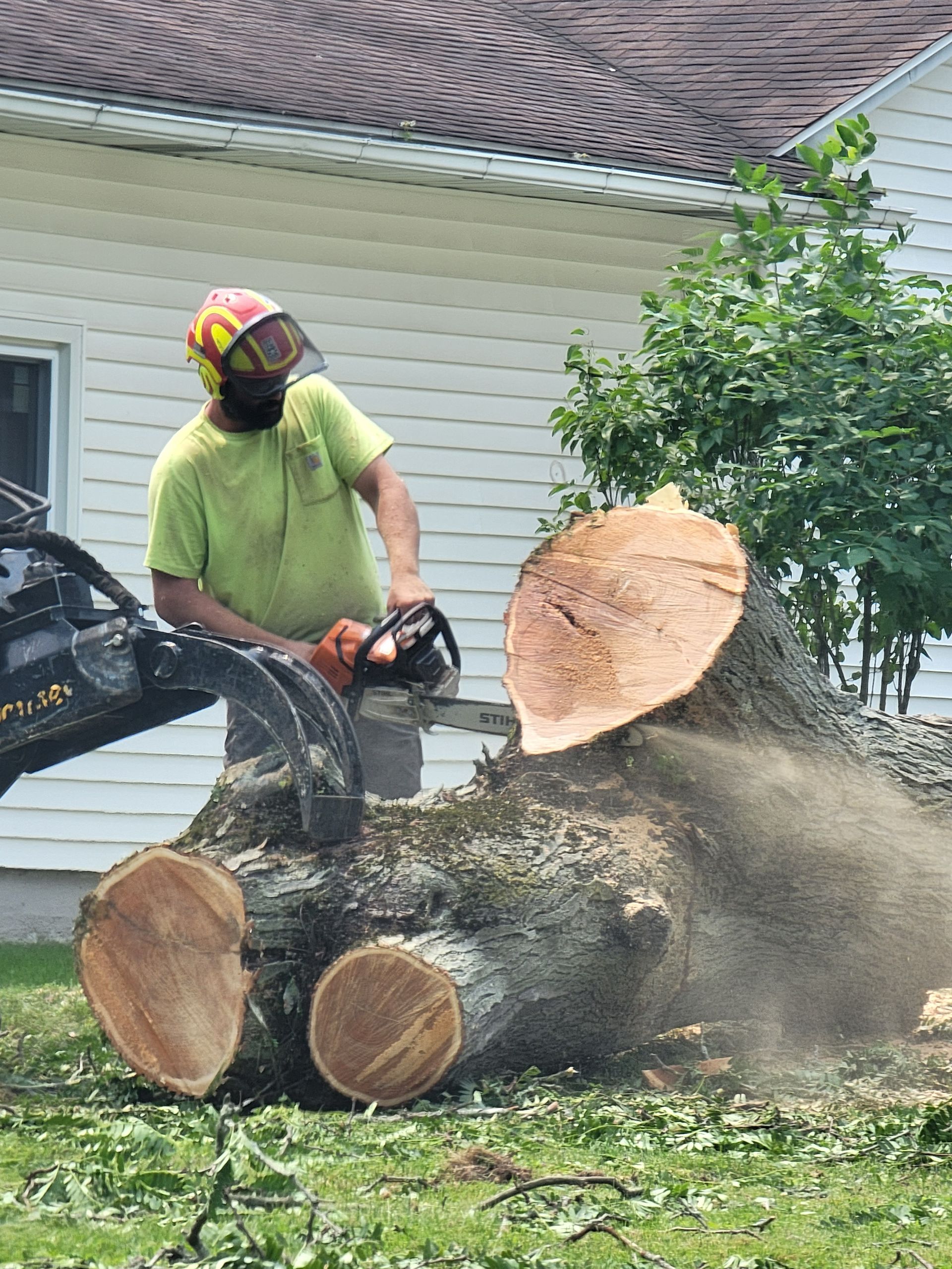 Person in safety gear using a chainsaw to cut a large tree trunk; sawdust fills the air.