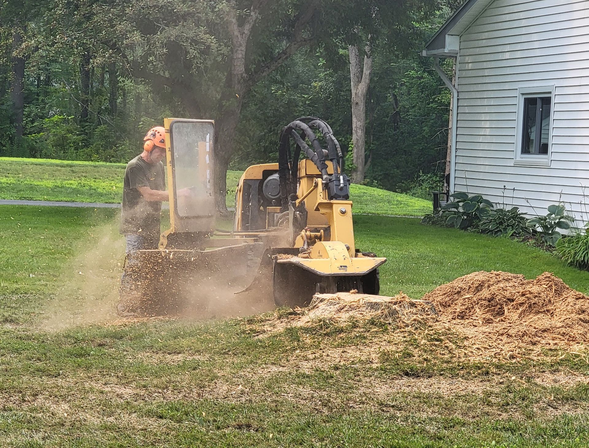 Stump that needs stump grinding in Syracuse, NY Stump that needs stump grinding in Syracuse, NY