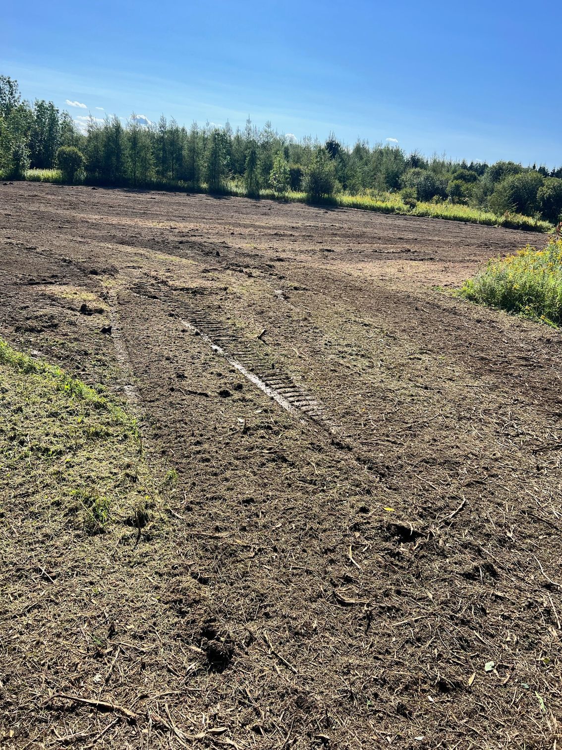 A freshly tilled field, ready for planting, under a clear blue sky, with a treeline in the background.