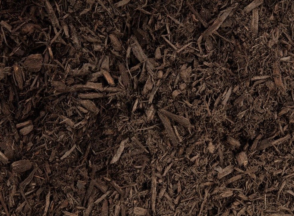 Dark Walnut