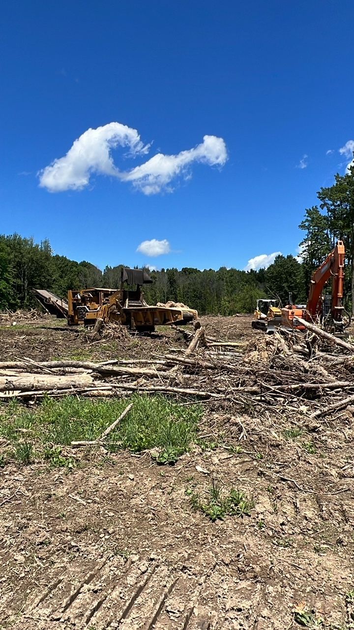 Clearing a wooded area; bulldozer, excavator, logs, and debris under a blue sky.