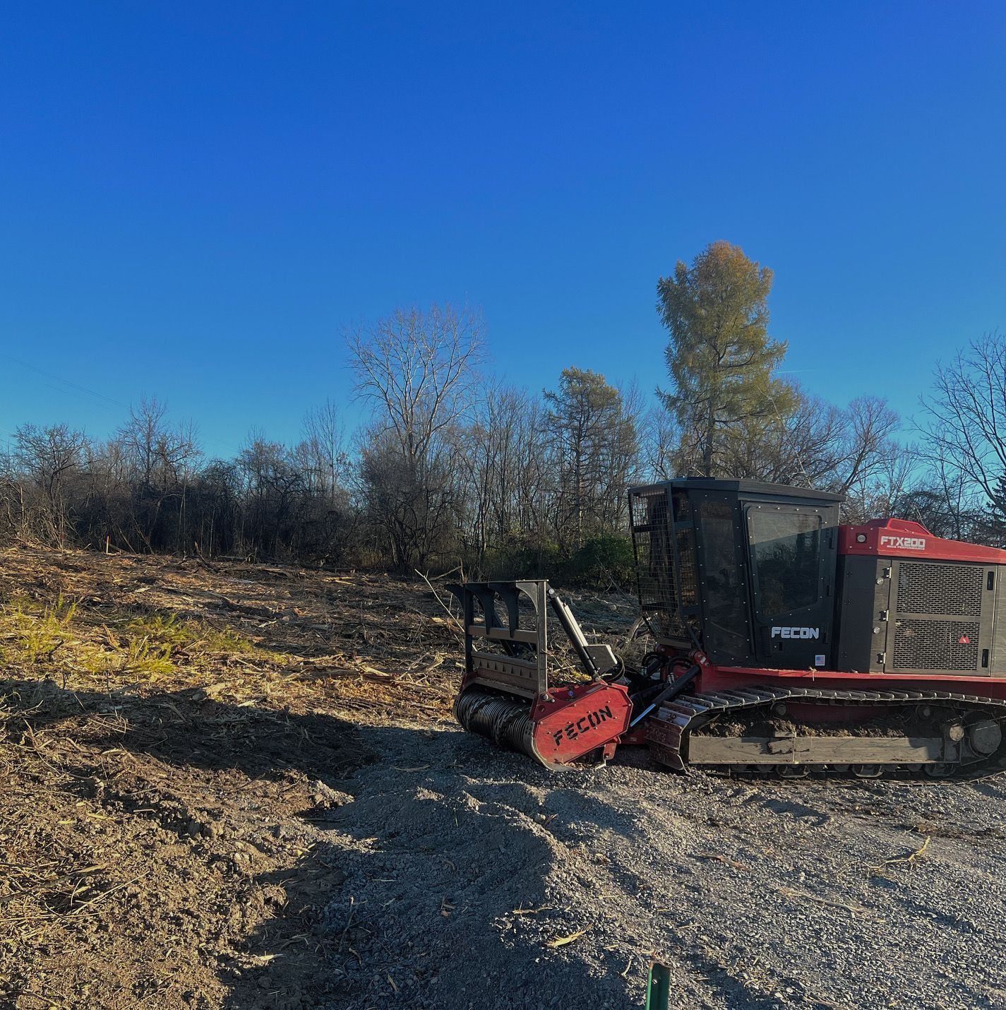 Red and black forestry mulcher clearing land on a sunny day. Trees in the background.