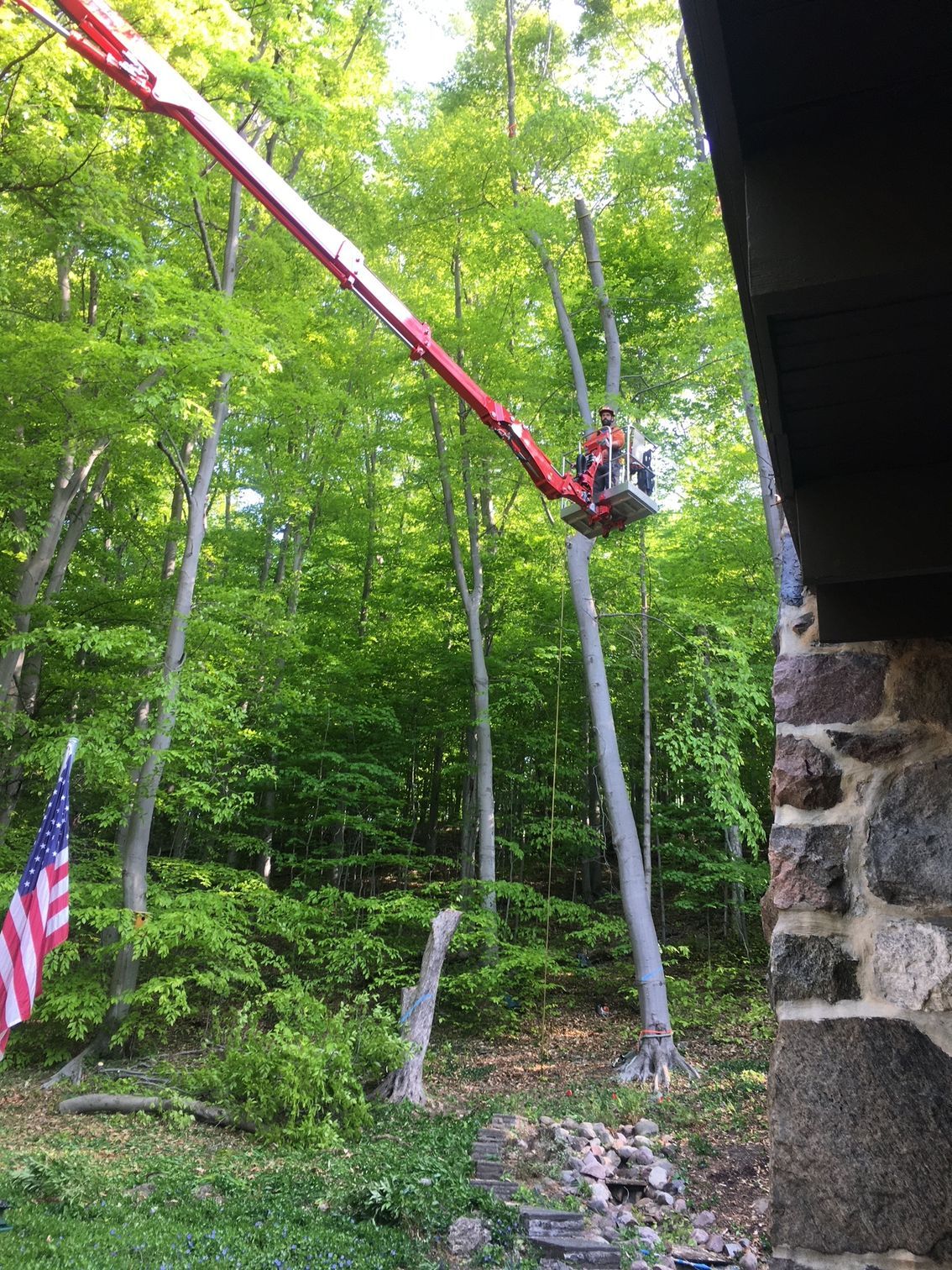 A tree service worker in a lift trims trees near a stone building and forest. American flag.
