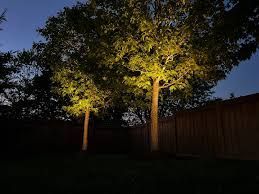 Two trees are lit up at night in a backyard.