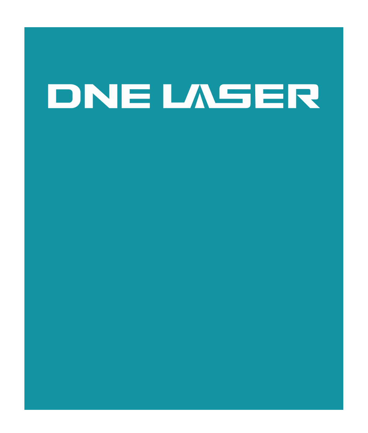 DNE LASER (Guangdong) Co., Ltd. Logo