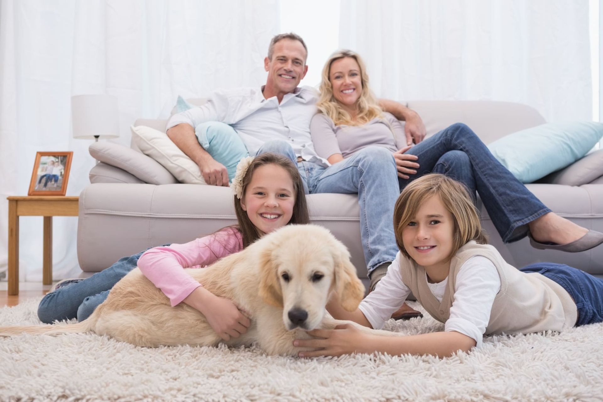 odors and stains removal products