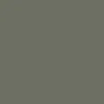 Solid, muted olive-green background.
