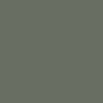 Solid dark gray background.