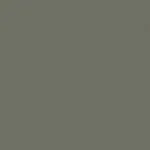 Solid gray background.