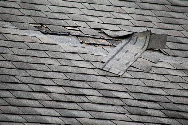 Residential Shingle Roofing