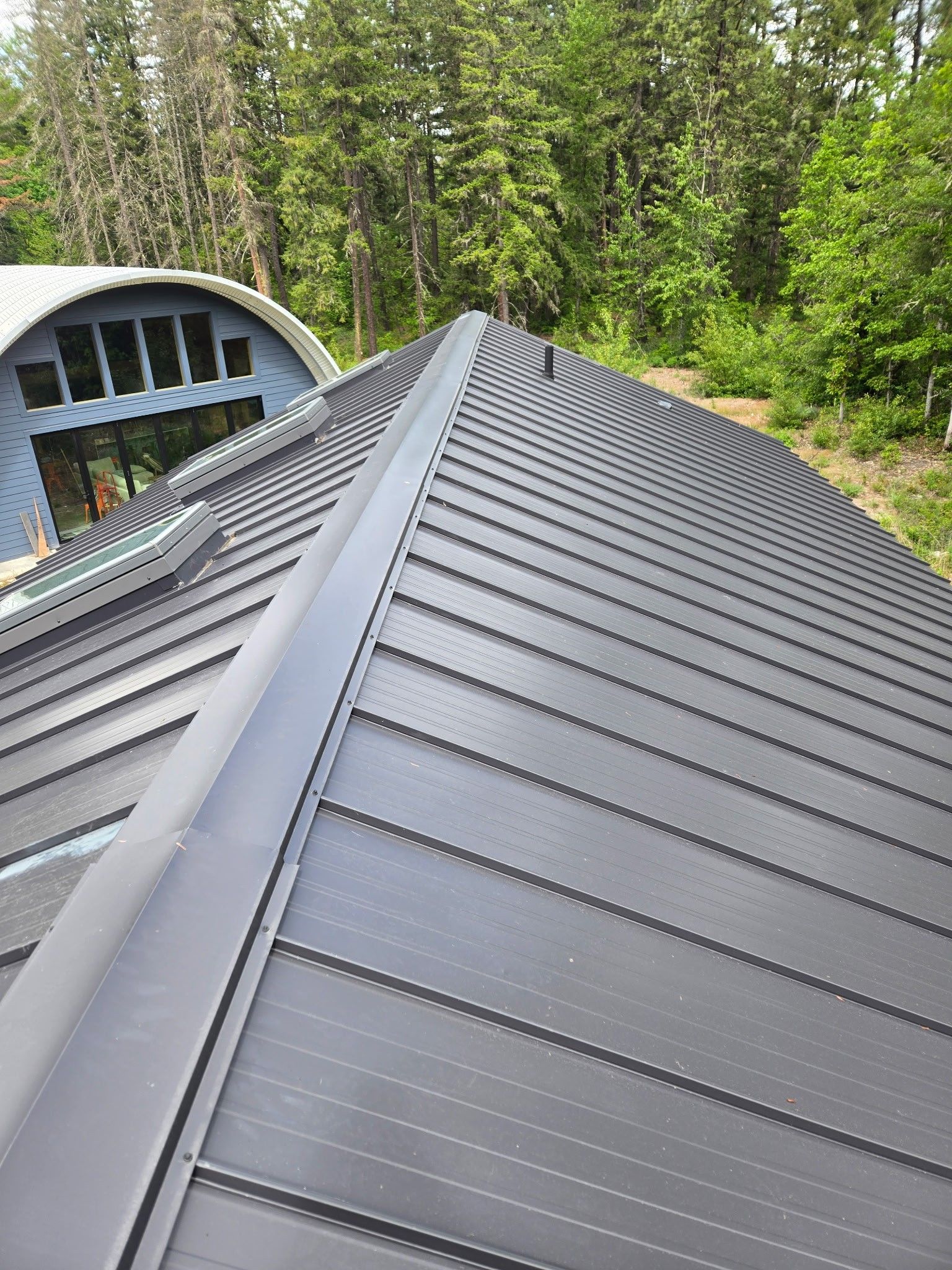 Dark metal roof with curved ridges and a forest background. Dark metal roof with curved ridges and a forest background.