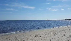 Sandy beach with calm blue water and a clear sky on a sunny day
