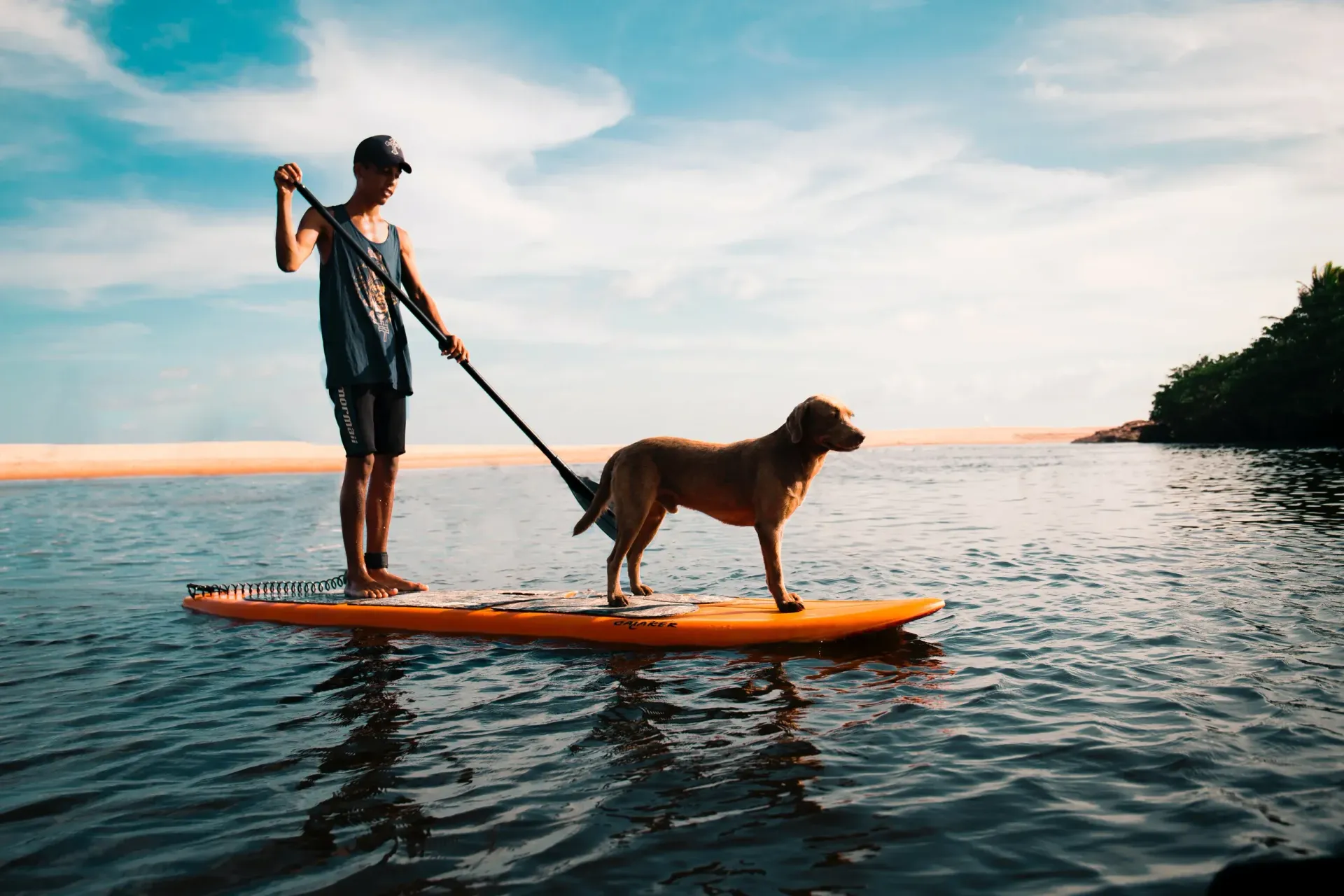 Person and dog standing on a paddleboard on calm water at sunset