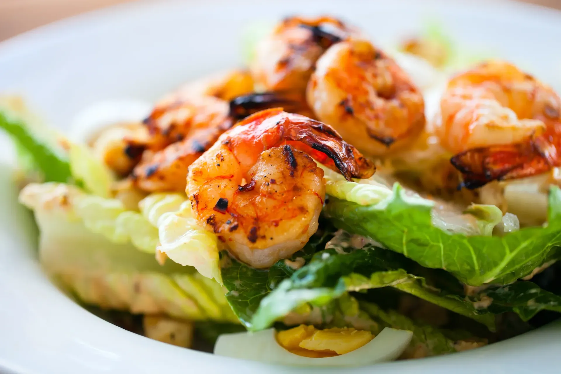 Grilled shrimp atop romaine lettuce in a light dressing on a white plate