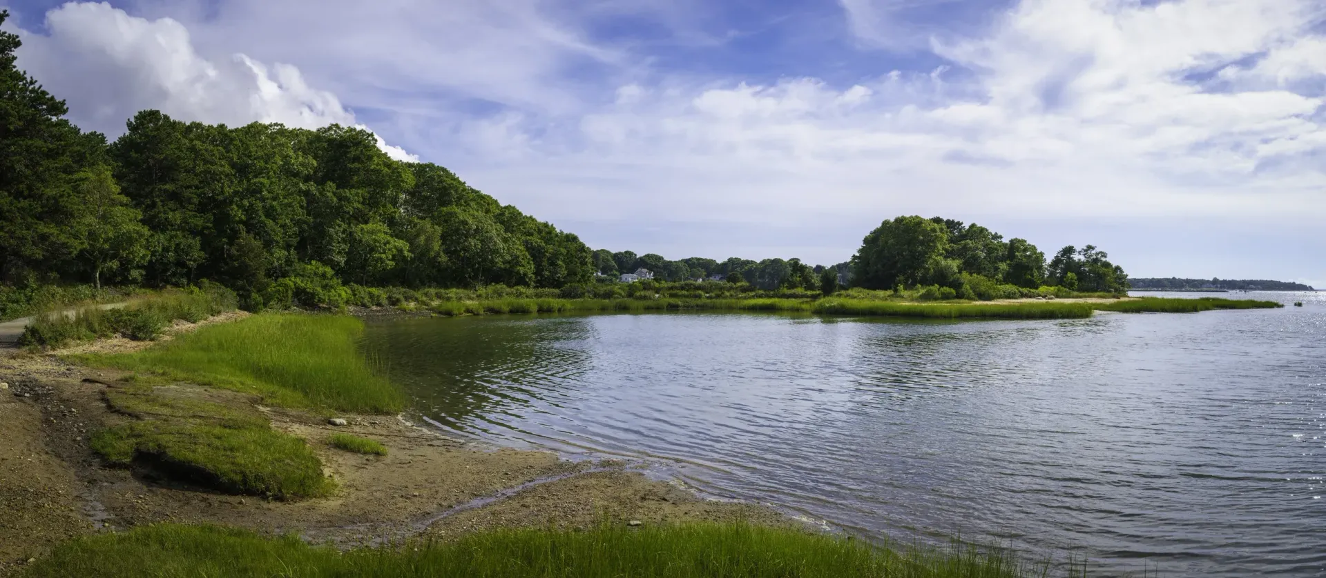 Calm lake shoreline with green trees, grassy bank, and rippling water under a cloudy sky