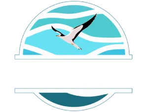 Turquoise circular logo with a flying white bird and white wave lines
