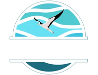 Turquoise circular logo with a flying white bird and white wave lines