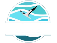 Turquoise circular logo with a flying white bird and white wave lines