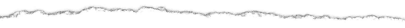 Una fina línea gris dentada que se extiende sobre un fondo blanco, similar a un rastro sísmico o de señal.