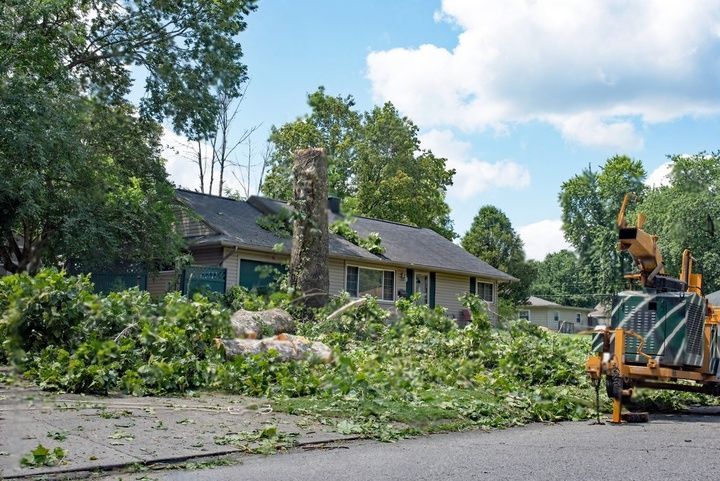 Tree branches and leaves are scattered in front of a house.