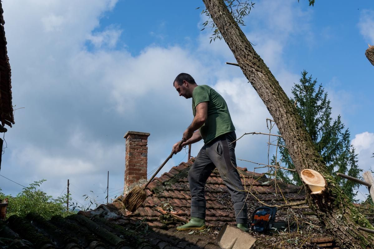 An arborist removes tree debris from a roof.