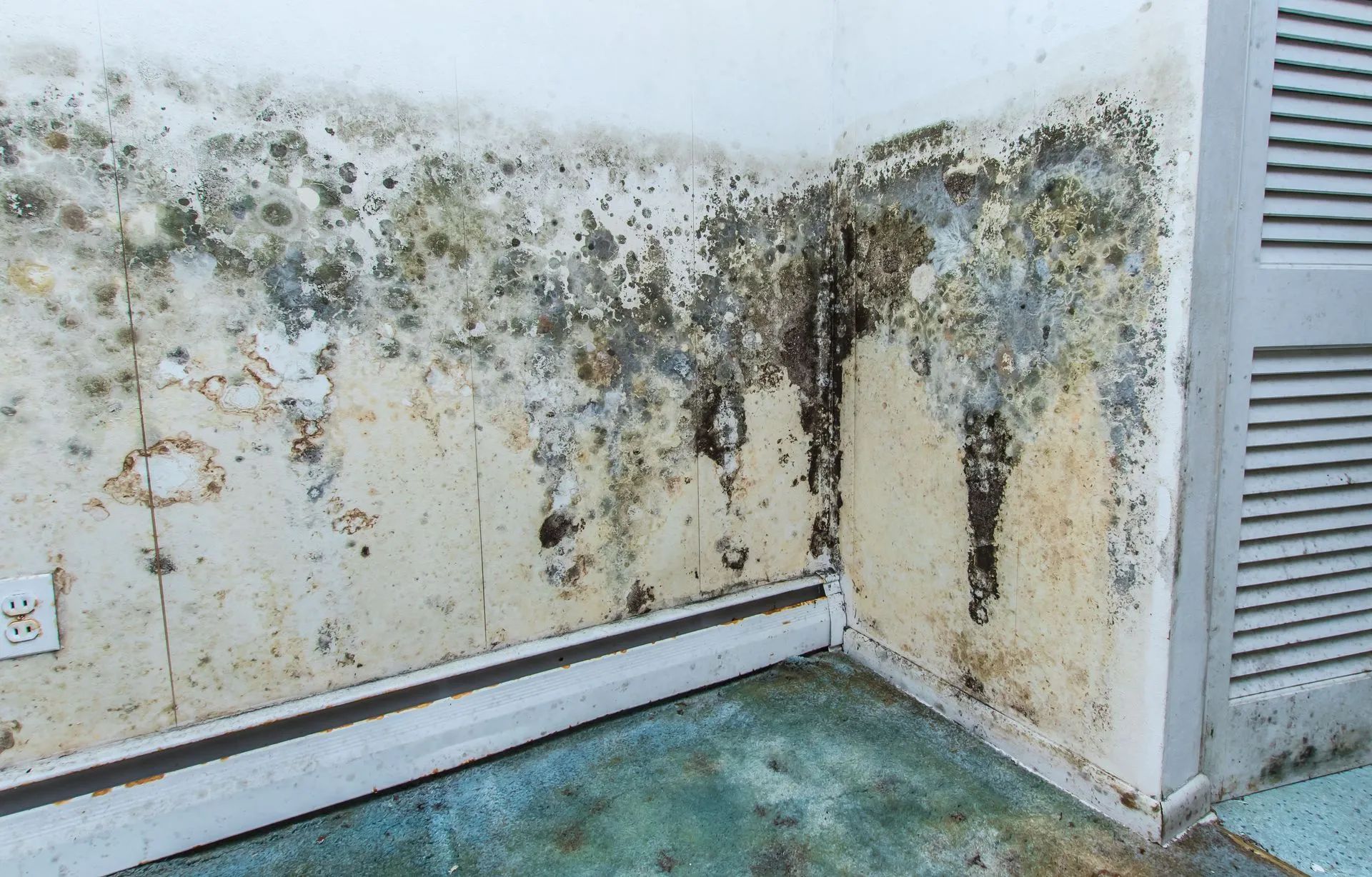 Mold Containment Zone