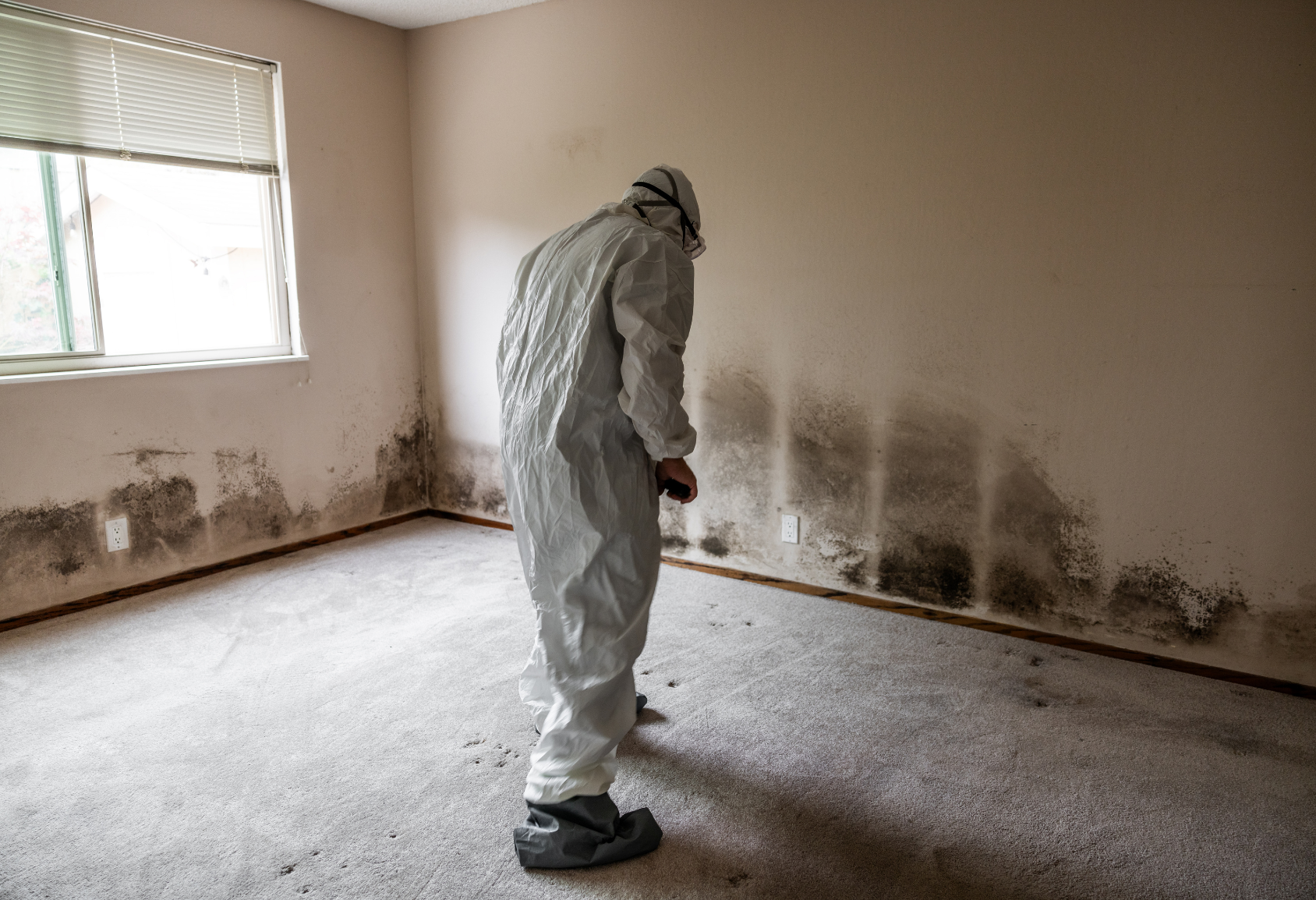 Person in white protective suit and respirator inspects a moldy basement wall with a flashlight.