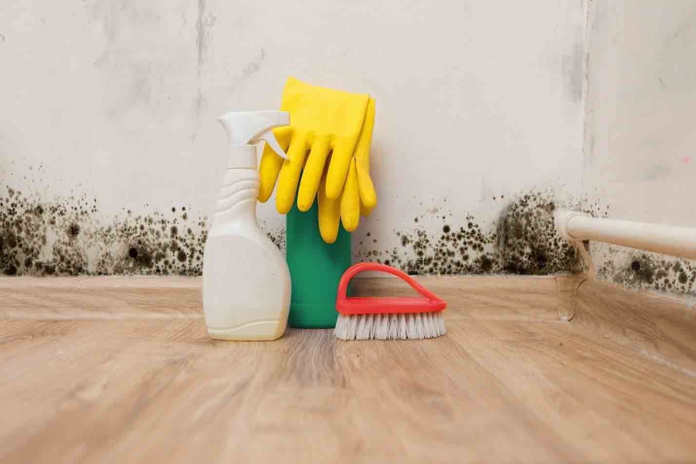 Cleaning supplies, including a spray bottle, yellow gloves, and a scrub brush, placed before a wall with mold growth.
