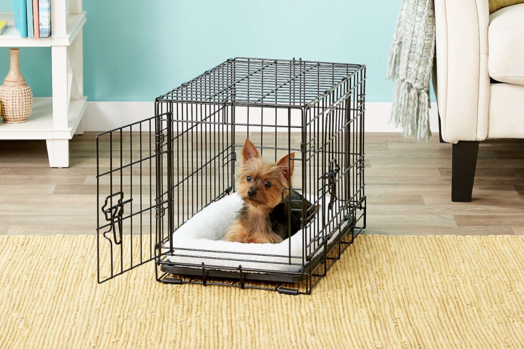 How to Kennel Train Dog Training Corpus Christi