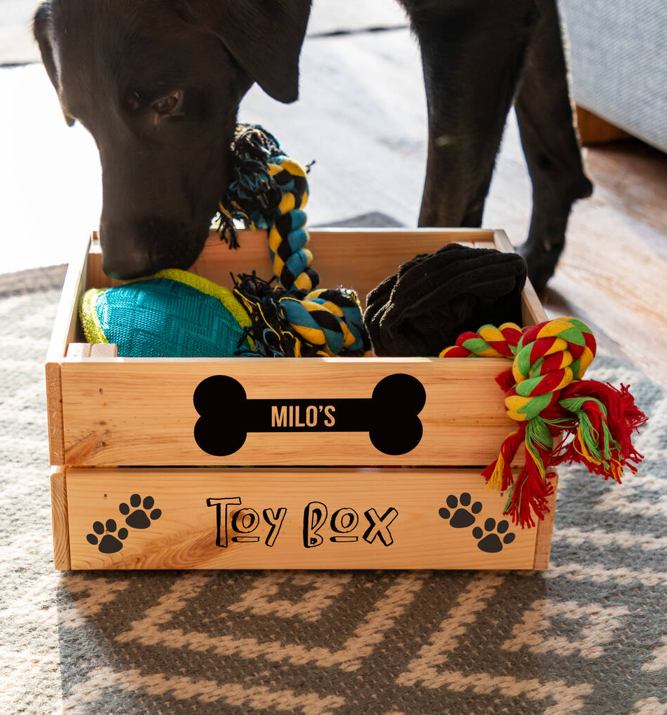corpus christi dog training clean toys