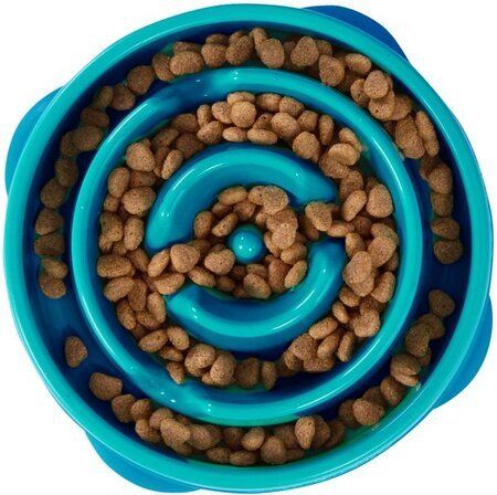 dog training corpus christi communication buttons