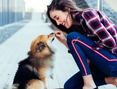 dog obedience training treat and praise