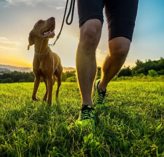 dog behaviorist understanding body language