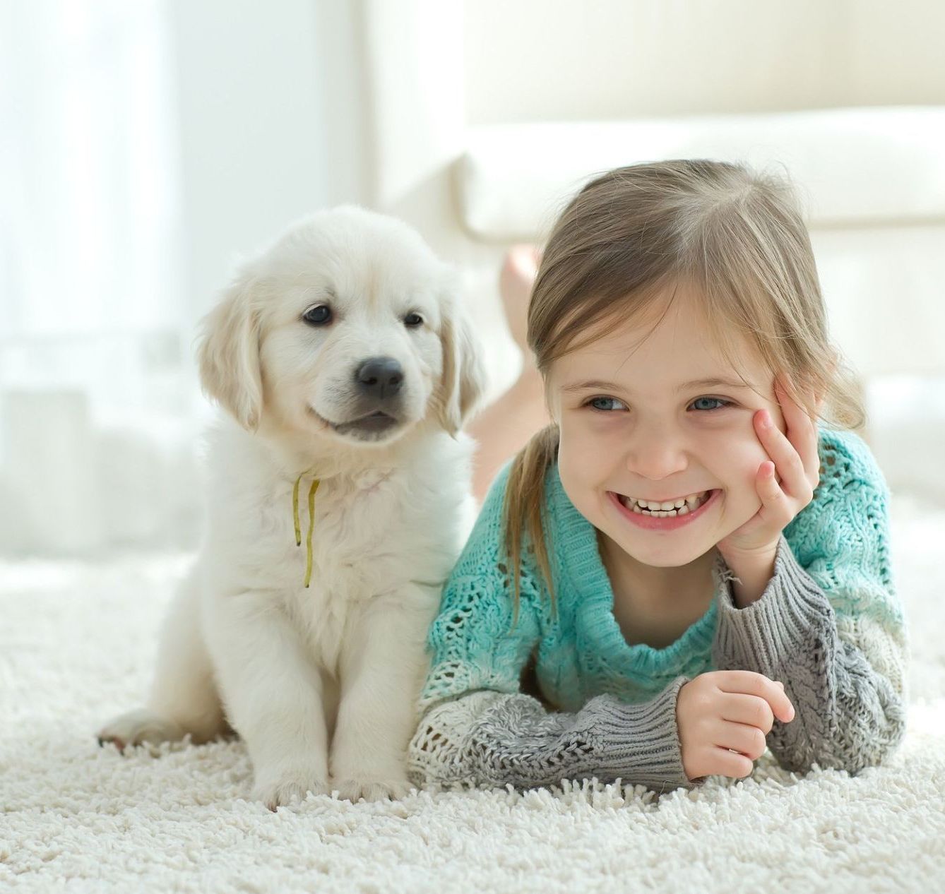 puppy training corpus christi at home