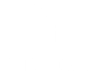 Company Logo - White
